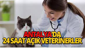 Antalya nöbetçi veteriner